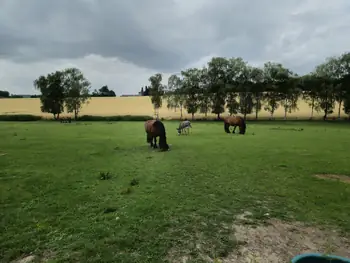 Slag van Waterloo Reinacting (België)